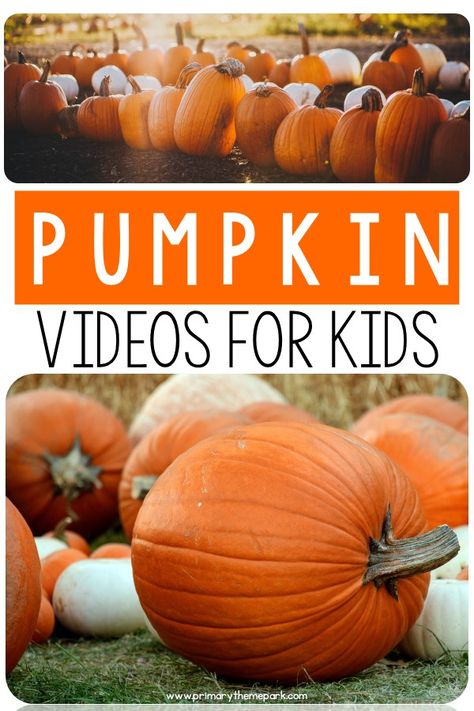 Pumpkin Videos for Kindergarten and First Grade - Primary Theme Park Human Body Videos, Kindergarten October, Pumpkin Lessons, Pumpkin Investigation, Pumpkins Kindergarten, Autumn Teaching Ideas, Pumpkin Unit, October School, Pumpkin Day