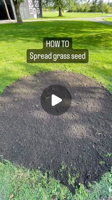 Stevensville Garden Gallery on Instagram: "How do you spread grass seed?? We get this question all the time!   Follow these easy steps and you’ll be on your way to a lush lawn in no time!  🌱 Prepare the spot with fresh soil  🌱 Pour a bag of Viva Lawn repair mix into your wheelbarrow  🌱 Add grass seed and mix!  🌱 Dump the mixture onto your prepared spot  🌱 Rake out evenly over your soil  🌱 Water with a sprinkler   #grassseed #grass #falllawnprep #lawnprep #howto #diy #gardening #falldiy #springgardening #yardprep #yardwork #vivalawn #lawnseeding #seedyourlawn #fertilizer #gardengallery #spring #marchgarden #springgarden #springlawnprep" Growing Grass Tips, Grass Planting, Grass Growing, Lawn And Garden Ideas, Small Grass Area Ideas, Backyard Grass Ideas, How To Grow Grass, Grass Growing Tips, Garden Grass