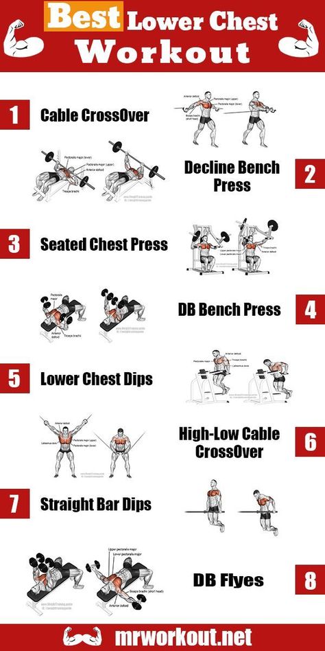 Lower Chest Exercises, Back Workout Men, Chest Exercise, Chest Workout For Men, Chest Workout Routine, Chest Day, Workout Plan For Men, Best Chest Workout, Chest Exercises