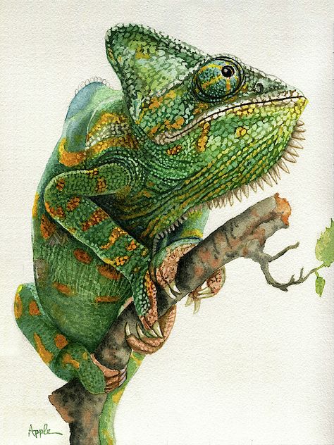 Cameleon Art, Chameleon Drawing, Chameleon Tattoo, Reptile Art, Chameleon Art, Apple Painting, Chameleons, Desenho Tattoo, Arte Fantasy