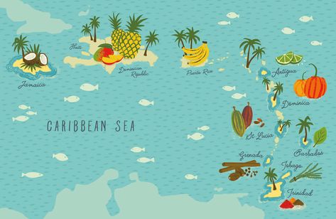 Carribean Map, Economic Map, Caribbean Kitchen, Jamaica Map, Maps Aesthetic, Menu Illustration, Illustrated Maps, Map Murals, Caribbean Rum