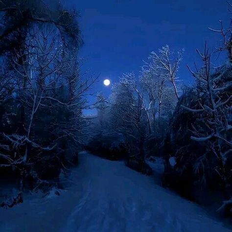 Blue Hour Photography, Snow Night, Blue Aesthetic Dark, Blue Core, Night Landscape, Blue Forest, Winter Scenery, Winter Pictures, Blue Hour