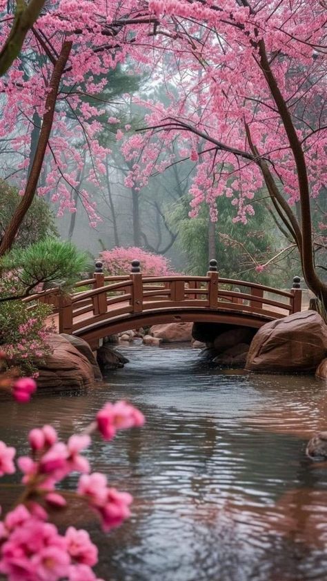 Scenery Wallpaper Nature Landscapes, Tranquil Photography, Flowers For Wallpaper, 숲 사진, Spring Scenery, Beautiful Nature Wallpaper Hd, Flowers Photography Wallpaper, Wallpaper Flowers, Image Nature