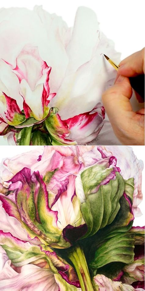 Watercolour Tutorial, Botanical Sketchbook, Learning To Paint, Step By Step Watercolor, Watercolor Flowers Tutorial, Watercolor Tutorial, Watercolor Tutorials, Watercolor Flower Art, Watercolor Painting Techniques