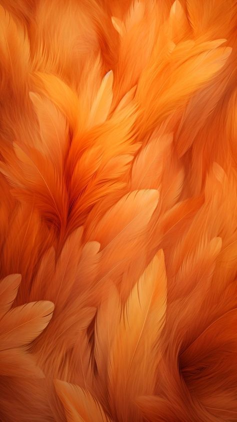 Pretty Phone Backgrounds, Sf Wallpaper, Unique Iphone Wallpaper, Feather Wallpaper, Aesthetic Orange, Wallpaper Nature Flowers, Ocean Wallpaper, Orange Aesthetic