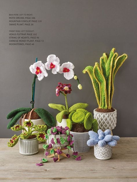 Crocheted Houseplants features 25 stylish projects to revive your home or office décor and create a lush indoor garden. Flip through the stylish gallery pages, pick your favourite plants and get started. Crochet Office, Useful Crochet Projects, Useful Crochet, Crochet Plants, Crochet Garden, Crochet Book, Easy Crochet Projects, Crocheted Flowers, Crochet Plant