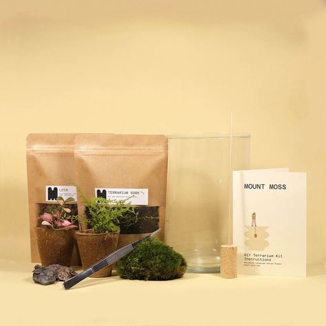 DIY terrarium kit! 🌿✨️ We have a new and improved DIY terrarium kit for anyone looking to engage in a rewarding hands-on project! It's a fantastic way to learn about plants and their care, offering both fun and educational benefits. Weather for yourself or as a special gift for someone else, this kit blends creativity with a deeper appreciation for nature. Our DIY kit is also kids friendly, making it a fun way for children to explore nature and learn about ecosystems. It's easy to use, e... Moss Terrariums, Terrarium Kit, Diy Terrarium Kit, Diy Terrarium, Moss Terrarium, Terrariums Kits, About Plants, Terrarium Diy, Explore Nature