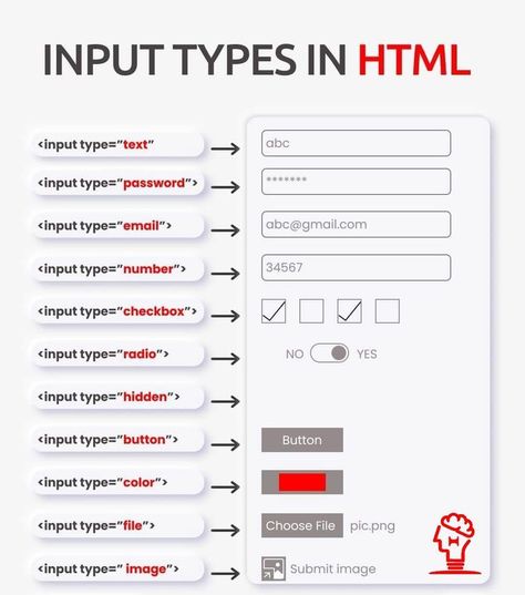 Are you a startup looking for a custom website solution?With over 6+ years of valuable industry experience and a Bachelor's degree in Computer Science, I have the expertise to precisely fit your business needs. Quality is my top priority, I work closely with you to ensure that your website not only meets but exceeds your expectations, helping you achieve your business goals. Input Types In Html, Html Input Type, Html Code Web Design, Cv Website, Learn Html And Css, Learn Hacking, Ui Design Principles, Back To University, Basic Computer Programming