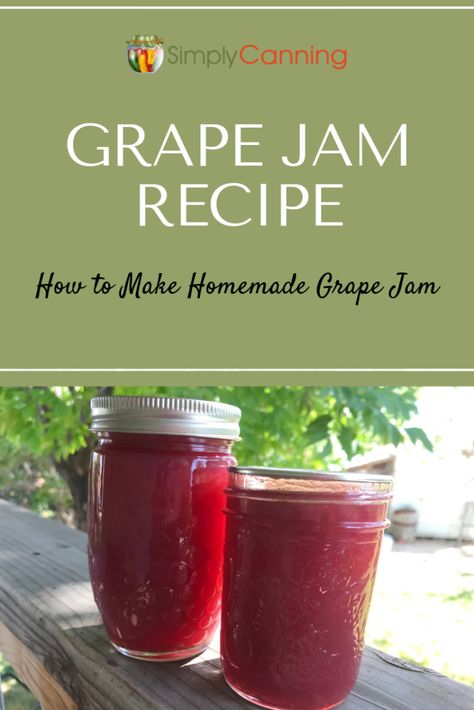 Grape Jam Recipe: #SimplyCanning shows you how to make your own grape jam at home! Control the sugar and make your family a treat they can enjoy year around. Easy-to-follow instructions included! #GrapeJamRecipe #SimplyCanning #JamAndJelly Grape Jam Recipe, Canning Gifts, Low Sugar Jam, Sugared Grapes, Grape Jam, Grape Recipes, Water Bath Canning, Jam And Jelly, Jam Recipe