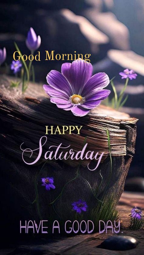 Good Night Saturday Quotes, Saturday Weekend Wishes, Saturday Morning Images, Saturday Morning Greetings, Good Morning Saturday Images, Happy Saturday Images, Weekend Wishes, Saturday Greetings, Saturday Images