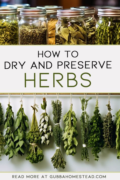 How To Dry Herbs From Your Garden, How To Make Dried Herbs, Drying Your Own Herbs, Dry Your Own Herbs, Herb Drying Wall, Best Way To Dry Herbs, How To Harvest And Dry Herbs, How To Make Your Own Dried Herbs, Still Room Herbs