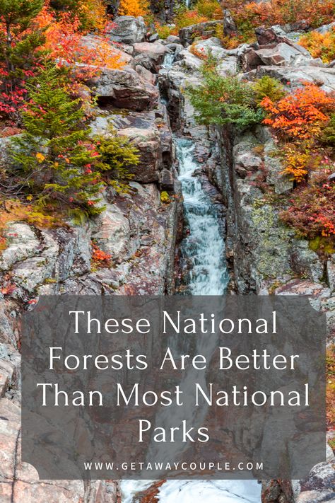 Looking for a hidden gem full of beauty, nature, and adventure? Check out these National Forests that are better than most National Parks! These National Forests Are Better Than Most National Parks Fulltime Rv Living, Visit All 50 States, Snake River Canyon, Gifford Pinchot National Forest, Horseback Riding Trails, Class A Motorhome, White Mountain National Forest, Vacation Bucket List, Pisgah National Forest