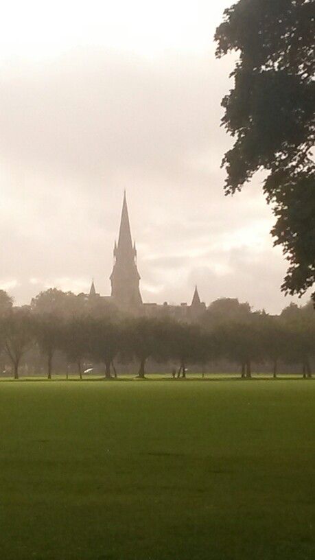 The Meadows, Edinburgh The Meadows Edinburgh, Edinburgh Meadows, Meadows Edinburgh, Edinburgh Fringe, We Are Back, The Meadows, The Veil, College Student, Emotional Healing