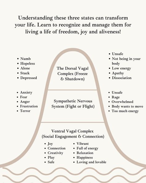 ✨Recognizing which state your nervous system is in can help you better understand your feelings and reactions. Each state serves a purpose and signals your body’s needs. ✅Our aim and purpose is to be able to navigate these states with flexibility according to what is needed of us in the moment. ✅A regulated nervous system doesn’t mean calm and peace all the time but what it means is it’s capacity to adapt to what external environment asks of us. 🔥For example, if there is a dangerous situati... Regulating The Nervous System, Parasympathetic Nervous System Reset, Calming The Nervous System, Regulated Nervous System, Healing Your Nervous System, Healing The Nervous System, Somatic Tracking, Healing Nervous System, Heal Nervous System