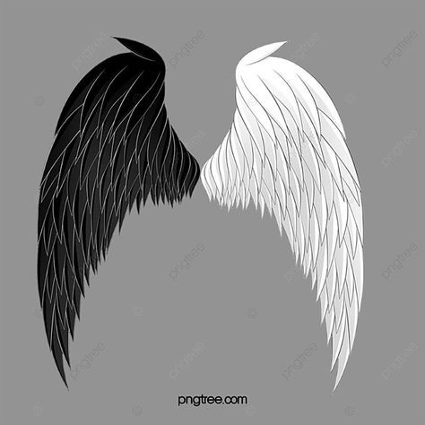 Logo Fotografia, Feather Png, Angel Wings Png, Cartoon Angel, Wings Sketch, Wing Angel, Angel Wings Drawing, Wings Png, Angel Feather