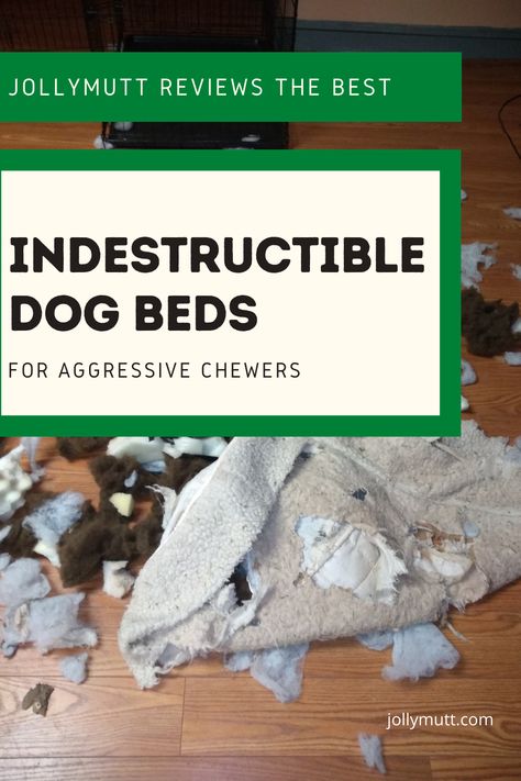 Indestructible dog beds for aggressive chewers Chew Proof Dog Bed Diy, Indestructible Dog Bed, Homemade Dog Beds For Large Dogs, Crib Mattress Dog Bed, Chew Proof Dog Bed, Dog Beds Homemade, Indoor Dog Bed, Durable Dog Bed, Indestructable Dog Bed