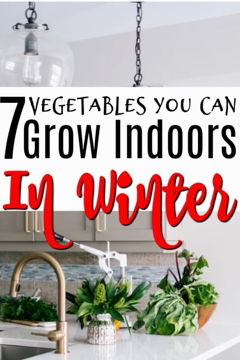 Growing Winter Vegetables, Growing Vegetables Indoors, Indoor Farming, Indoor Vegetables, Winter Gardening, Inside Garden, Vegetable Garden For Beginners, Grow Food, Indoor Vegetable Gardening