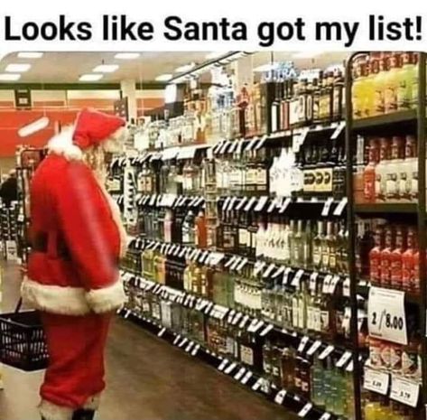 Getting Drunk Quotes, Drinking With Friends Quotes, Funny Alcohol Memes, Funny Alcohol Quotes, Wine Pictures, Alcohol Memes, Christmas Alcohol, Christmas Funnies, Alcohol Quotes Funny