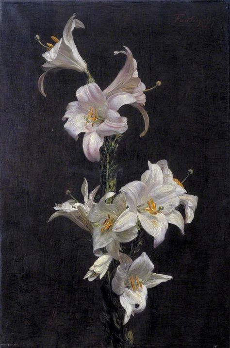 Henri Fantin-Latour - White Lilies, 1877 Famous Flower Paintings, Henri Fantin Latour, Lily Painting, Flowers In A Vase, Arte Sketchbook, White Lilies, Still Life Art, Arte Floral, Gustav Klimt