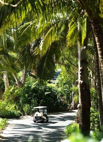 Golf buggy on the resort side of Hamilton Island Maldives Landscape, Residence Concept, Island Life Aesthetic, Jogging Path, Dubai Islands, Hotel Landscape, Golf Hotel, Golf Buggy, Bakery Design Interior