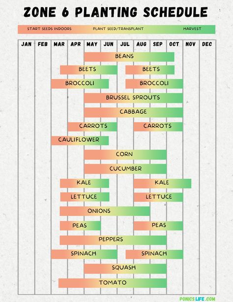 Zone 6 Planting Schedule and Calendar: A Quick Guide Vegetable Planting Schedule, Zone 6 Planting Schedule, Zone 6 Planting, Seed Starting Calendar, Small Vegetable Garden, Planting Schedule, Growing Calendar, Plant Hardiness Zone Map, Vegetable Planting