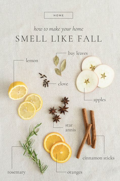 How to Make Your Home Smell Like Fall - The Rooted Farmhouse Home Smell Like Fall, Smell Like Fall, Canning Apples, Homemade Potpourri, Simmer Pots, Stove Top Potpourri, Simmer Pot Recipes, Liver Care, Potpourri Recipes