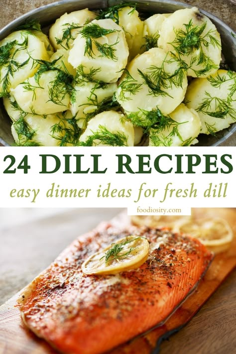 Check out this list of 24 tasty recipes for dill, from refreshing salads and hearty soups to indulgent quiches and savory breads. Easy Dill Recipes, Fresh Herb Recipes Dinners, Using Dill Recipes, Fish Dill Recipe, Shrimp And Dill Recipes, Meals With Dill, Dill Shrimp Recipes, Cod And Dill Recipes, Recipes That Use Fresh Dill