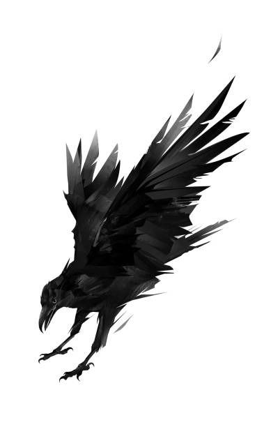 57,000+ Flying Raven Tattoo Stock Illustrations, Royalty-Free Vector Graphics & Clip Art - iStock Flying Raven Tattoo, Bae Tattoo, Diving Bird, Symbol For Family, Forest Forearm Tattoo, Flying Raven, Symbol For Family Tattoo, Crow Tattoo Design, American Flag Art