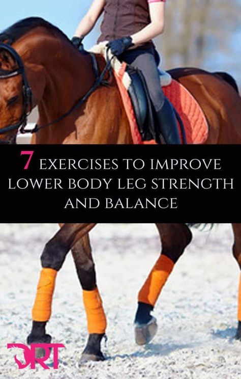 Lower Leg Exercises, Equestrian Workout, Equestrian Exercises, Dressage Exercises, Riding Exercises, Horseback Riding Tips, Horse Lessons, Dressage Training, Horse Exercises