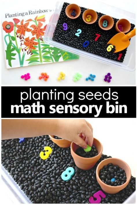 For a preschool seed or gardening theme create a counting seeds gardening sensory bin. This sensory bin allows for hands-on exploration of planting seeds right into the "soil" all while working on number recognition, counting, and one-to-one correspondence. #preschool #sensory #math #spring #kidsactivities Gardening Sensory Bin, Spring Theme Preschool Activities, Spring Sensory Play, Math Activities For Toddlers, Planting A Rainbow, Spring Sensory, Spring Theme Preschool, Spring Preschool Activities, Preschool Garden