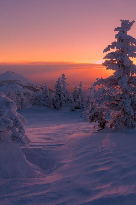 winter forest sunset Winter Sunset Pictures, Sunset In A Forest, Winter Aesthetic Desktop, Winter Sunset Wallpaper, Winter Forest Aesthetic, Winter Forest Wallpaper, Sunset In The Forest, Sunset In Winter, Christmas Sunset