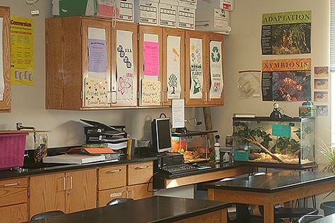 Teacher Aesthetic Science, Science Teacher Aesthetic Classroom, Chesney Core, Science Room Aesthetic, Science Classroom Aesthetic, 2000s Classroom, Science Class Aesthetic, Science Teacher Aesthetic, Secondary School Classroom