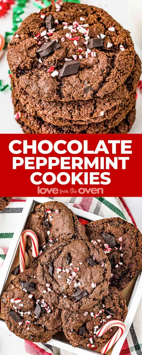 Chocolate Peppermint Cookies • Love From The Oven Peppermint Mocha Cookies, Peppermint Cookie Recipe, Christening Cookies, Peppermint Recipes, Chocolate Peppermint Cookies, Ultimate Chocolate Chip Cookie, Thyme Recipes, Double Chocolate Chip Cookies, Peppermint Cookies