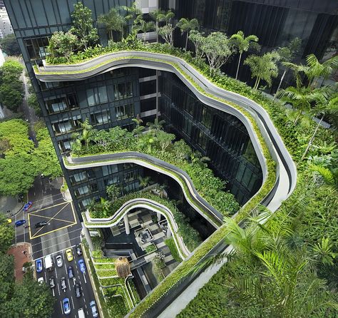 Breathtaking Green Hotel In Singapore Showcases Sustainable Architecture Architecture Cool, Summers Eve, Singapore Hotels, Gardens Of Babylon, Fence Garden, Green Architecture, Sky Garden, Green City, Hanging Garden