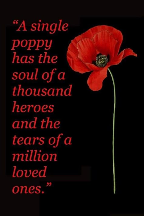 Poppy remembrance Remembrance Day Images, Remembrance Day Craft, Remembrance Day Photos, Remembrance Day Poems, Remembrance Day Pictures, Remembrance Day Quotes, Memorial Day Poppies, Remembrance Day Posters, American Legion Auxiliary