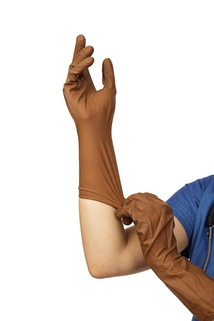 Female hand with brown surgical protecti... | Premium Photo #Freepik #photo #rubber-gloves #latex-gloves #gloves #hand-gloves Wearing Gloves Pose Drawing, Hands With Gloves, Pulling Up Gloves Pose Reference, Glove Reference Drawing, Pulling On Glove Reference, Gloves Character Design, Glove Reference, Fixing Gloves Pose, Gloves Drawing Reference