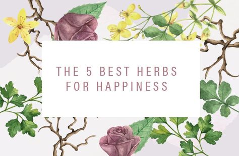 Herbalist Rachelle Robinett reveals 5 plants that can elevate your mood and reduce stress, plus tips on how to use them most effectively. Herbs For Happiness, Living Naturally, Folk Remedies, Vegetables For Babies, Benefits Of Organic Food, Green Magic, Adaptogenic Herbs, Aroma Therapy, Spa Water