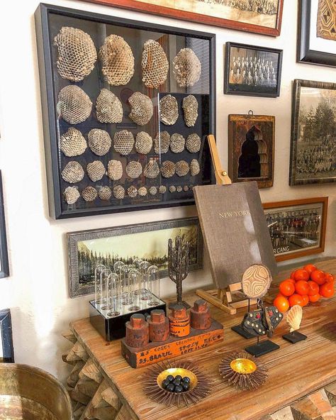 Eclectic Home Tour - Not a Minimalist - Kelly Elko Bat Decorations On Wall, Naturalist Decor, Trunk Or Treat Ideas, Bat Decorations, Cabinet Of Curiosity, Wasp Nest, Colorful Pottery, Treat Ideas, Bring Them Home