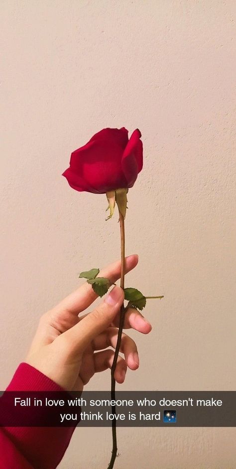 Rose Day Story Ideas, Love Quotes About Roses, Rose Day Instagram Story, Fake Love Snapchat Story, Red Rose Quotes Love, Red Roses Snapchat, Aesthetic Rose Pic, Rose Day Snapchat, Rose Day Snapchat Stories