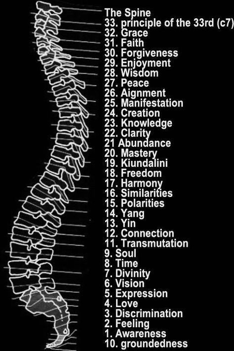 33 vertebrae in your spine. 33 degrees of initiation in Master Masonry. 33 is a Master Number in Numerology.. and this depiction symbolizes the 33 principles one must master to become a 33rd degree initiate of the Mystery Schools. Organs In The Body, Chakra Points, Pranic Healing, Endocannabinoid System, Spirit Science, Energy Medicine, Body Organs, Ancient Knowledge, Les Chakras