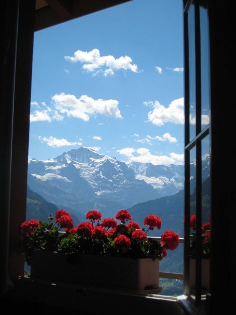 Wallpaper Hippie, Mountains Flowers, Window Views, A Room With A View, Room With A View, Window View, Trik Fotografi, Through The Window, Nature Aesthetic