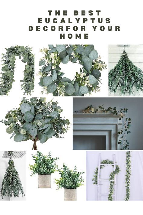 Eucalyptus can be an excellent choice for home decor due to its versatility, aesthetic appeal, and aromatic qualities. Here are several ways you can incorporate eucalyptus into your home decor #homedecoration#homedecor#eucalyptushomedecor Eucalyptus Decor, Vase With Branches, Home Decorations Ideas, Faux Branches, Fresh Eucalyptus, Greenery Decor, Dried Eucalyptus, Faux Leaf, Eucalyptus Garland