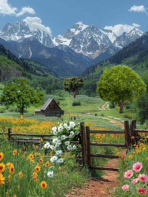 House In Flower Field, Austrian Countryside, Beautiful Flower Field, Farm Scenery, Beautiful Countryside, Nordland, Pretty Landscapes, Beautiful Country, Beautiful Mountains