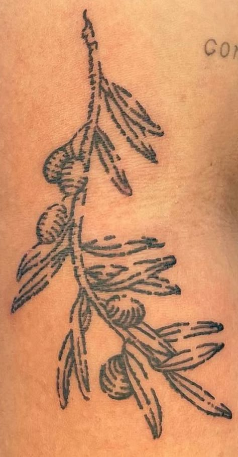 Rome Symbol Tattoo, Pepper Tree Tattoo, Imaginary Appalachia Tattoo, Cool Arabic Tattoos, Rib Tattoo Vertical, Linocut Tattoo Style, Icarus Spine Tattoo, Antigone Tattoo, Detailed Stick And Poke Tattoo