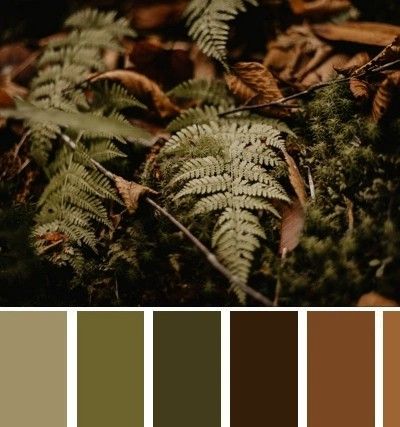 Olive Outfit Ideas, Living Room Colour Palette, Room Colour Palette, Crochet Color Palette, Olive Outfit, Monochrome Interior Design, Colours Name, Earth Colour Palette, Dark Fantasy Horror