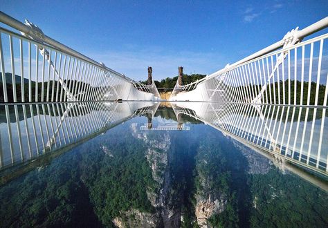 World's tallest and longest glass bridge closes after only 13 days Glass Bridge China, Glass Bridge, Zhangjiajie, Tourism Development, Bridge Photography, Italy Tours, Pedestrian Bridge, Harbin, Forest Park