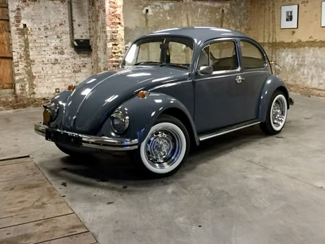 Vehicle Signage, Vw Type 3, Vw Sedan, Volkswagen Beetles, Classic Volkswagen, Volkswagen Karmann Ghia, Volkswagen Bug, Vw Beetle Classic, Combi Vw