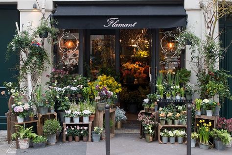 paris flower shop in the winter #paris #flowershop #leftbank #rebeccaplotnick Francophile Gifts, Flower Shop Interiors, Flower Shop Decor, Flower Shop Design, Paris Art Print, Flower Store, Plant Shop, Paris Images, Florist Shop