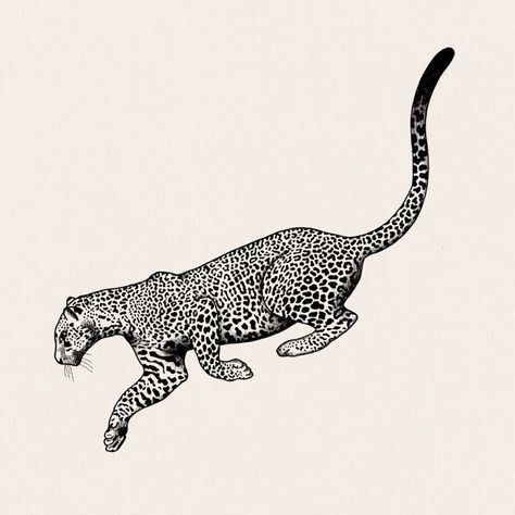 Jaguar Tattoo Design, Leopard Tattoo Design, Feline Tattoo, Tattoo Leopard, Leopard Drawing, Jungle Tattoo, Leopard Tattoo, Big Cat Tattoo, Jaguar Tattoo