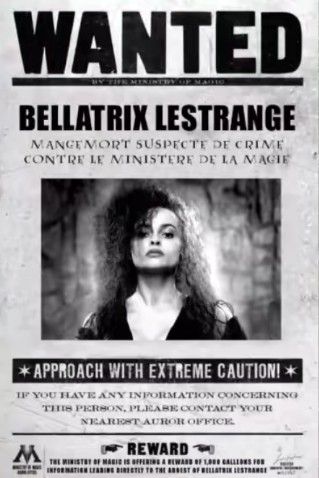 Bellatrix Lestrange🖤 Harry Potter Newspaper, Poster Harry Potter, Classe Harry Potter, Imprimibles Harry Potter, Stile Harry Potter, Harry Potter Bday, Harry Potter Printables, Harry Potter Classroom, Harry Potter Poster